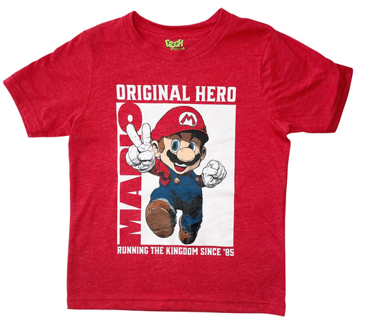 Mario Hero